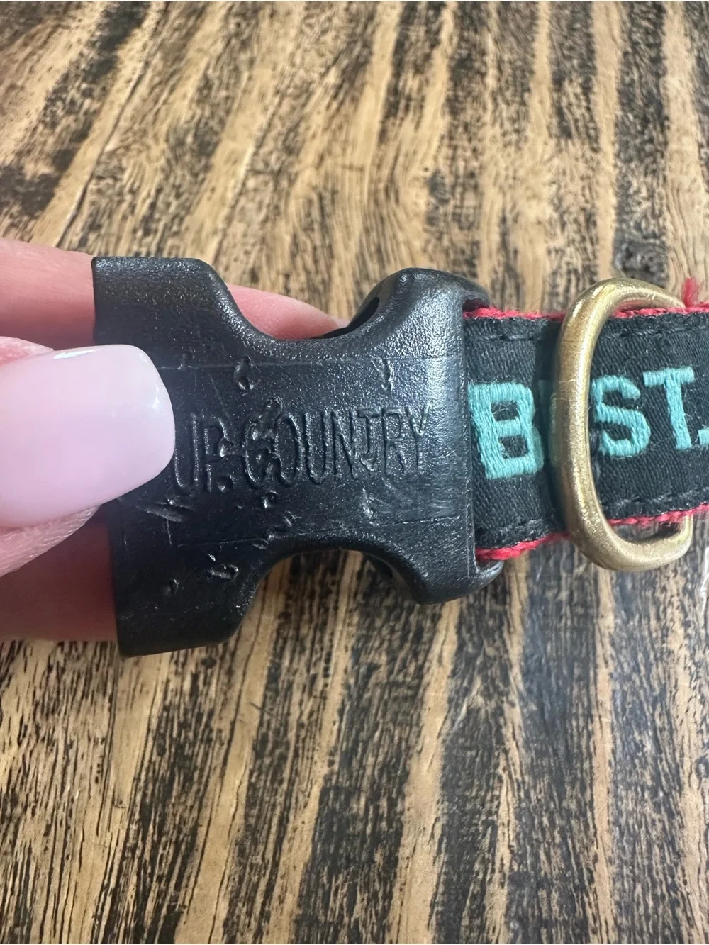 Vivacouture Black Collar with Teal Embroidered Text and Red Stitching